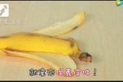 吃瓜不吐香蕉皮娱乐号能,揭秘娱乐圈那些不为人知的幕后故事