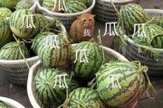 康欣娱乐吃瓜君